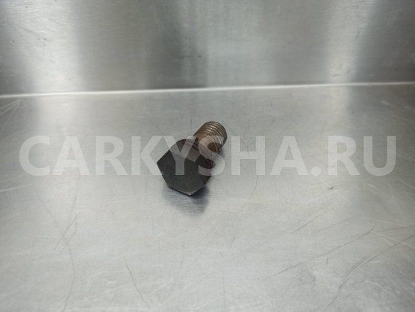 Болт масляной трубки Volkswagen Passat B6 (3C2) Volkswagen Passat 