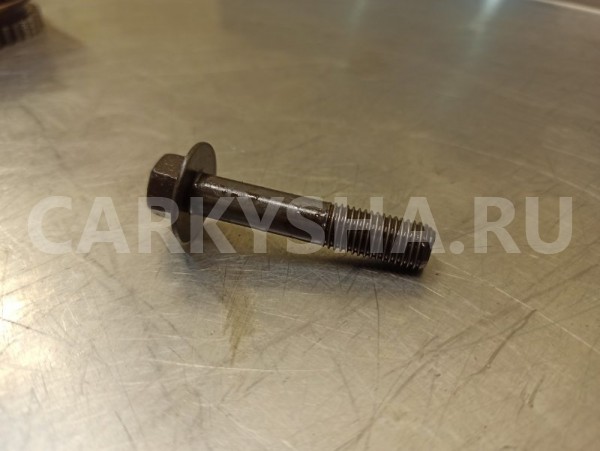 Болт распредвала Nissan Tiida C11 HR15DE 1.5 2010 Nissan Tiida 