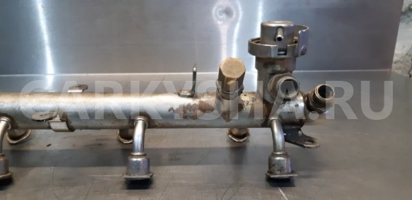 Топливная рейка Mercedes S600 W140 M120E60 6.0 V12 Mercedes-Benz S-klasse 