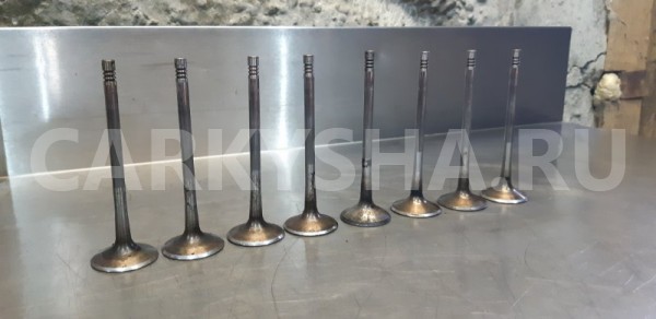 Клапан впускной Skoda Octavia A5 BVZ 2.0 2007 Skoda Octavia 