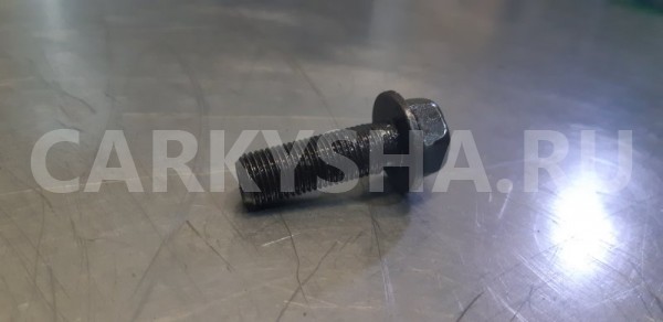 Болт распредвала Nissan X-Trail T30 QR20DE 2.0 Nissan X-Trail 