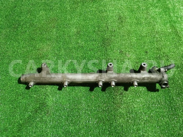 Рейка топливная (рампа) Hyundai Santa Fe 