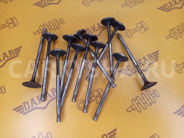 Клапан впускной Audi A4 (B6) 8EC ALT 2.0 2004 Audi 200 