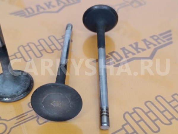 Клапан выпускной комплект 4 шт Audi A3 8PA CBZB Audi A3 