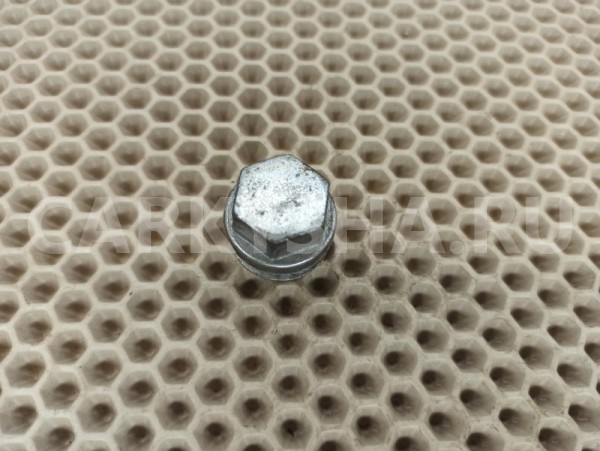 Резьбовая пробка Volkswagen Jetta 1K2 BSE 1.6 2009 Volkswagen Jetta 