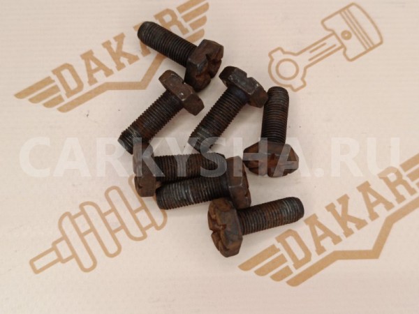 Болт маховика Renault Logan LS0H K7M 1.6 2012 Renault Logan 