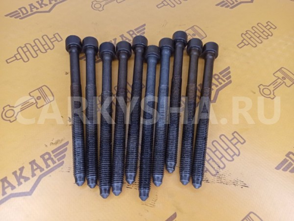 Болт головки блока цилиндров Volkswagen Passat B6 Volkswagen Passat 