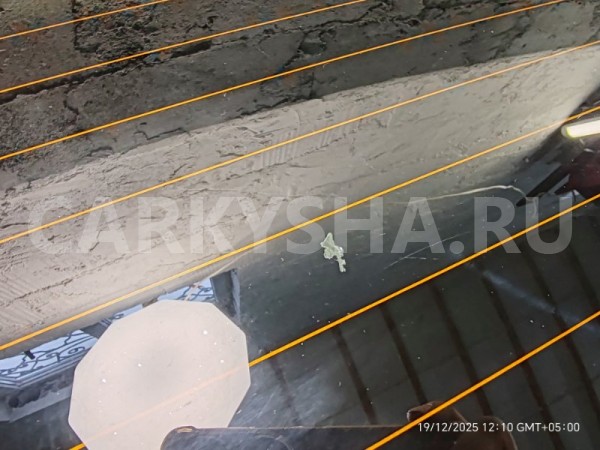 Стекло заднее Lada Kalina 2 2013 21920630301405 ХЭТЧБЕК 11186 ВАЗ (Lada) Kalina 