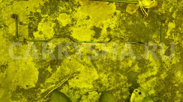 Стабилизатор Toyota Carina 