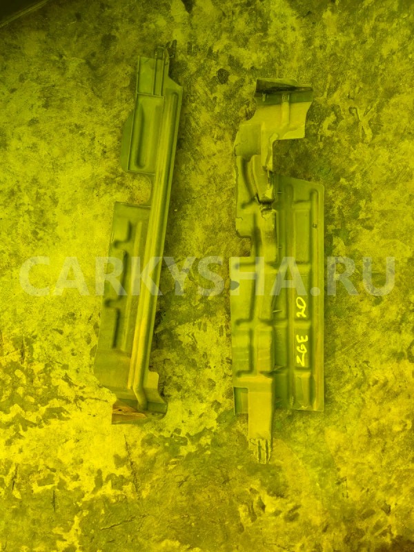 Защита радиатора Toyota Wish 