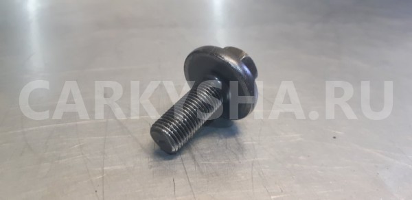 Болт распредвала Nissan X-Trail T30 QR20DE 2.0 Nissan X-Trail 