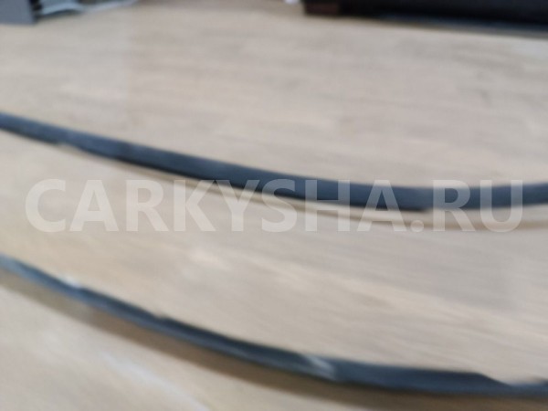 Молдинг крыши Mitsubishi Dingo 