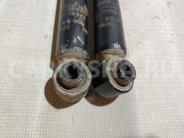 Амортизаторы задние к-кт Citroen C3 оригинальный номер 5206AN