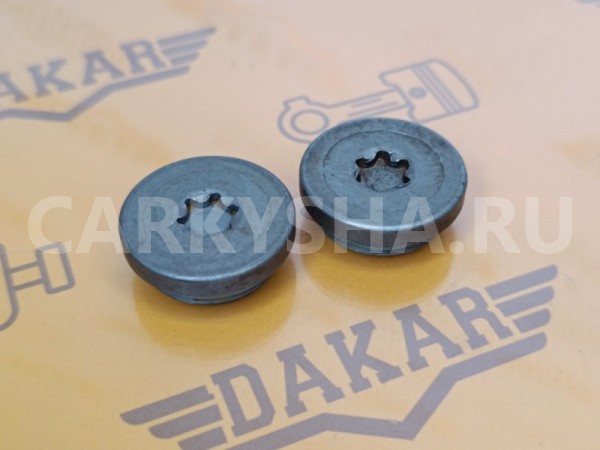 Крышка болта распредвала Opel Astra-H L69 Z18XER Opel Astra 