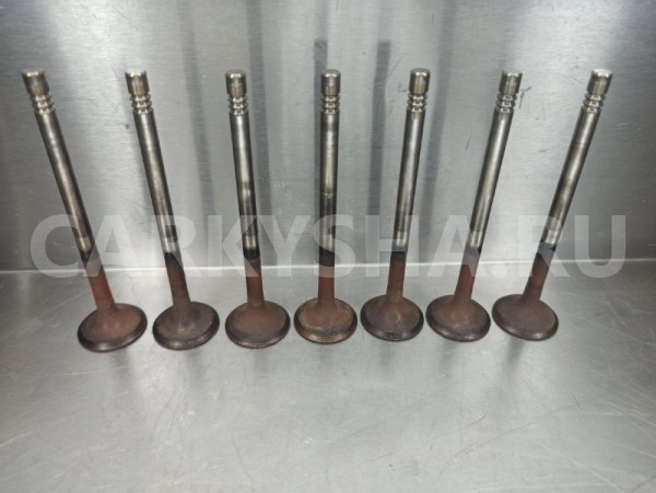 Клапан выпускной Volkswagen Passat B6 (3C2) CAXA Volkswagen Passat 