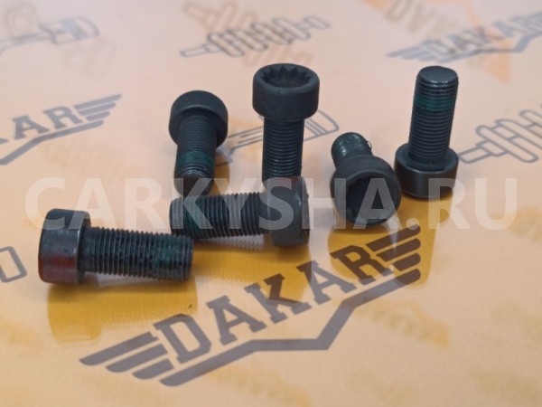 Комплект болтов маховика 6 шт Volkswagen Golf 5K1 Volkswagen Golf 