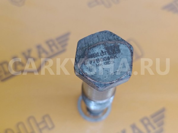 Натяжитель цепи BMW 3-Series E90 N46B20BD 2.0 2012 BMW 3er 