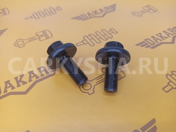 Болт распредвала Nissan Teana J32 VQ35DE 3.5 2012 Nissan Teana 