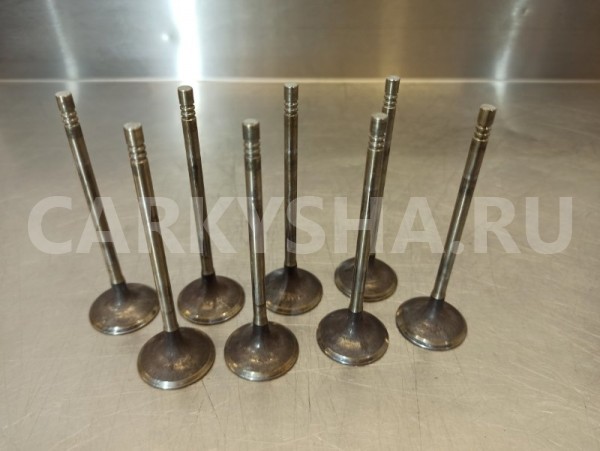 Клапан впускной Citroen C4 LC EP6 1.6 2011 Citroen C4 