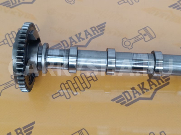 Распредвал впускной BMW X1 E84 N47D20C 2.0D 2012 BMW X1 