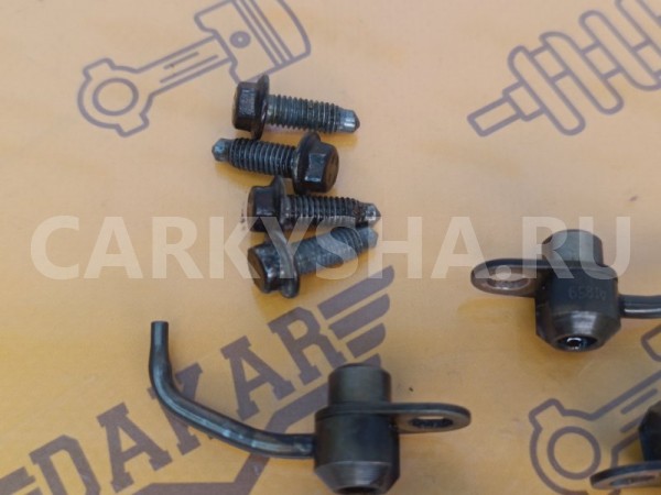 Комплект масляных форсунок Citroen C4 LA TU5JP4 Citroen C4 