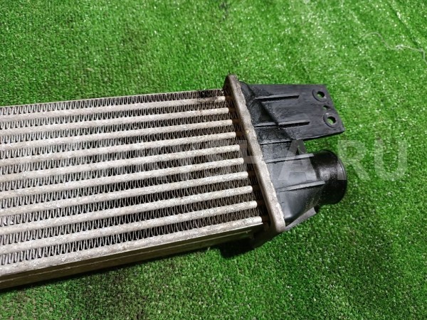 Интеркулер Ssang Yong Rexton 