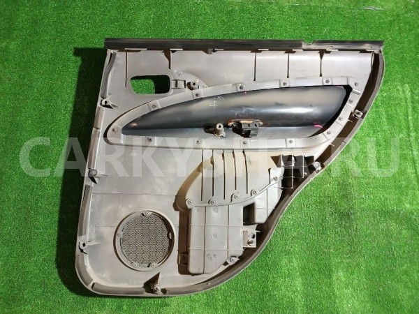 Обшивка двери задней левой Vortex Tingo 