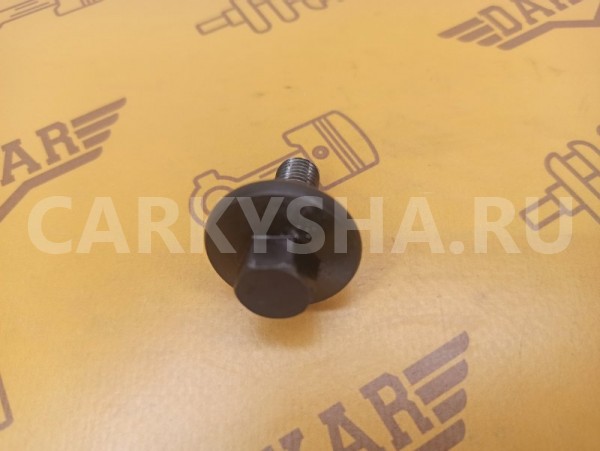 Болт распредвала Nissan X-Trail T31 MR20DE 2.0 Nissan X-Trail 