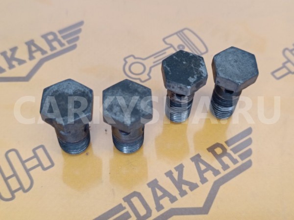 Комплект болтов масляных трубок турбины Peugeot Peugeot 3008 