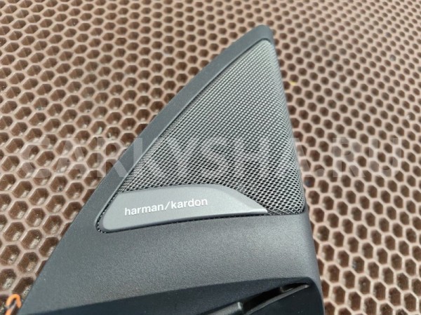 Сетки динамиков BMW X4 