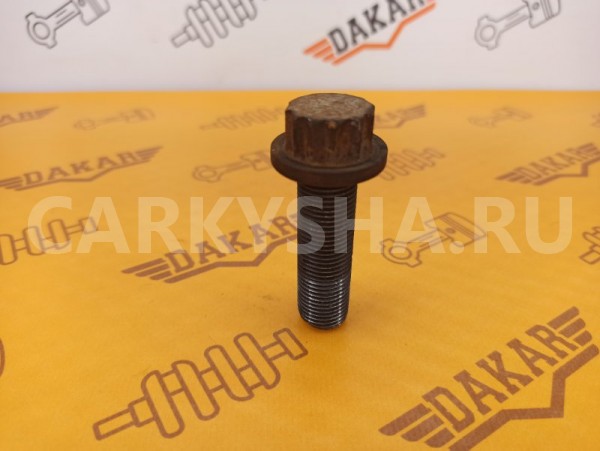 Болт коленвала Volkswagen Passat B6 BVY 2.0 2008 Volkswagen Passat 