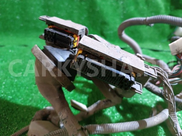 Коса моторная(проводка) Nissan Bluebird Sylphy 