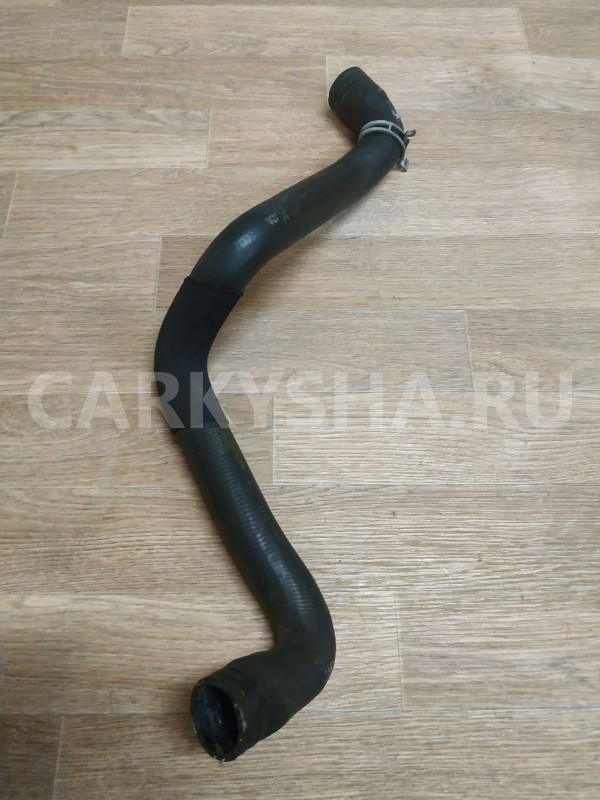 Патрубок радиатора охлаждения верхний Ford Focus оригинальный номер 8V618260BC