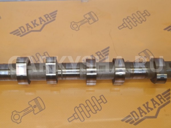 Распредвал выпускной Hyundai i40 VF G4NA 2.0 2016 Hyundai i40 