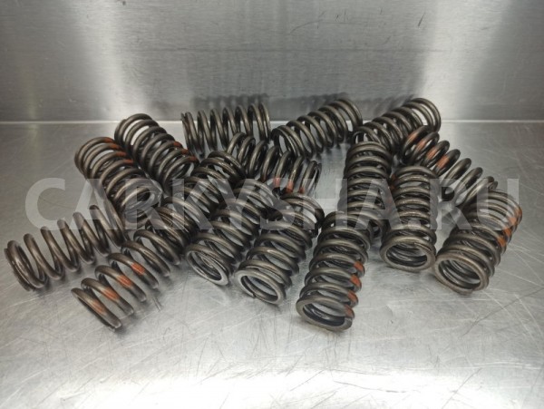 Пружина клапана Volkswagen Passat B6 (3C2) CAXA Volkswagen Passat 