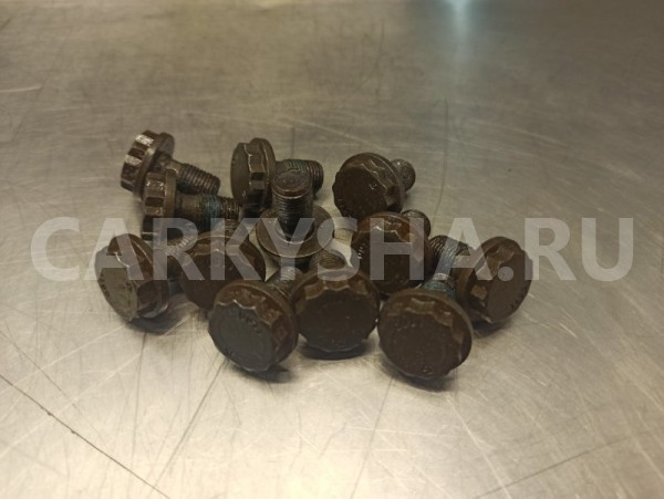 Болт маховика Volkswagen Passat B6 BVY 2.0 2009 Volkswagen Passat 